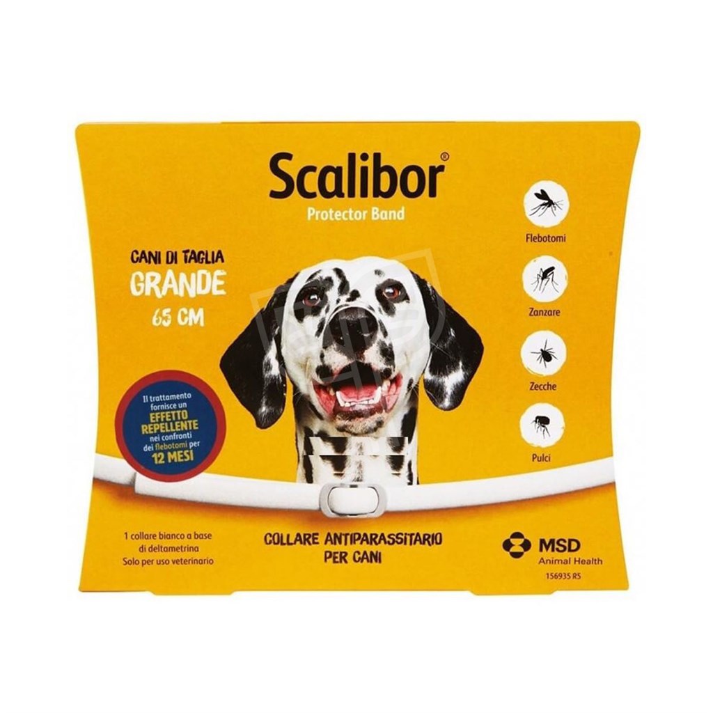 SCALIBOR COLLARE CANE 65 CM - TAGLIA GRANDE
